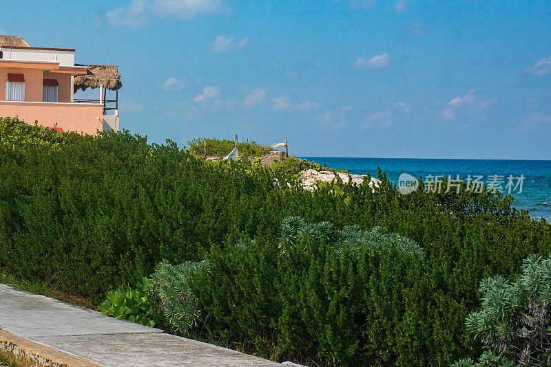 Isla Mujeres的自然景观